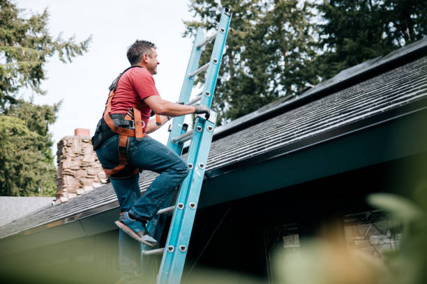 Best Roof Leak Repair  in Jellico, TN